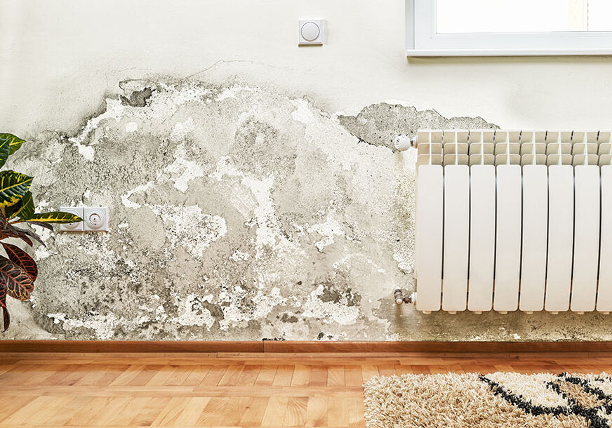 bautrocknung-wand-2colparallax bautrocknung-wand-2colparallax